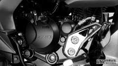 <b>大只500注册开户Harley Sportster 1250 S設計</b>