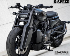 <b>大只500在线登录Harley Sportster 1250 S設計</b>