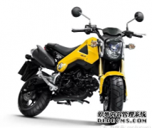 <b>大只500注册开户MSX125-最好玩的迷你摩托车</b>