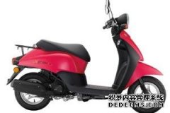 <b>大只500平台官网新大洲本田A5、自由Today两款新品</b>