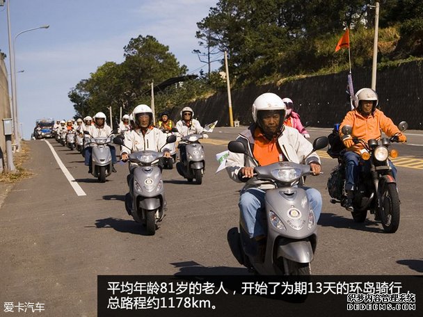 大只500家谱网, 大只500官方直营方法,