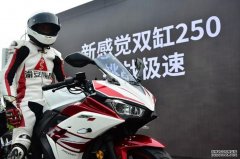 <b>大只500平台官网国内最速250cc 新感觉创造164km/h记</b>