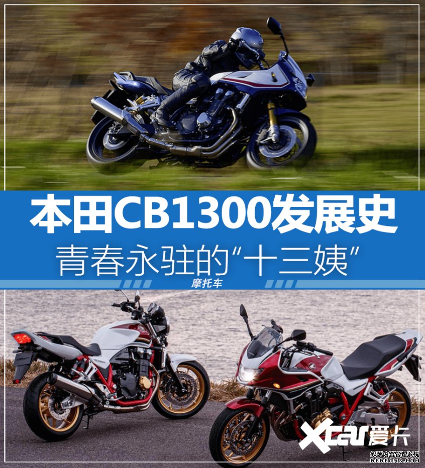 大只500平台用户, 大只500娱乐平台官,