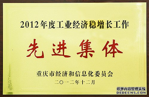 大只500总代, 大只500平台主管,